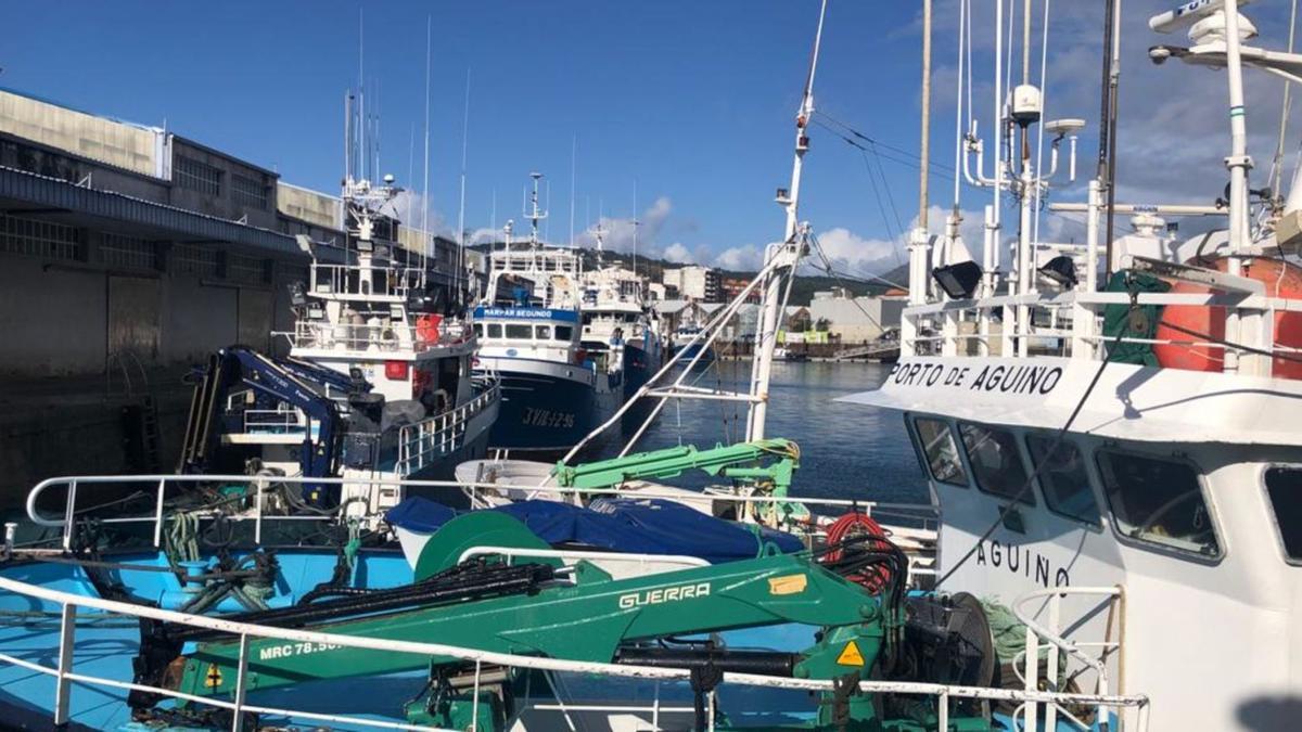 Embarcaciones amarradas este jueves en el puerto barbanzano de Ribeira, uno de los de mayor actividad pesquera en Galicia / suso souto