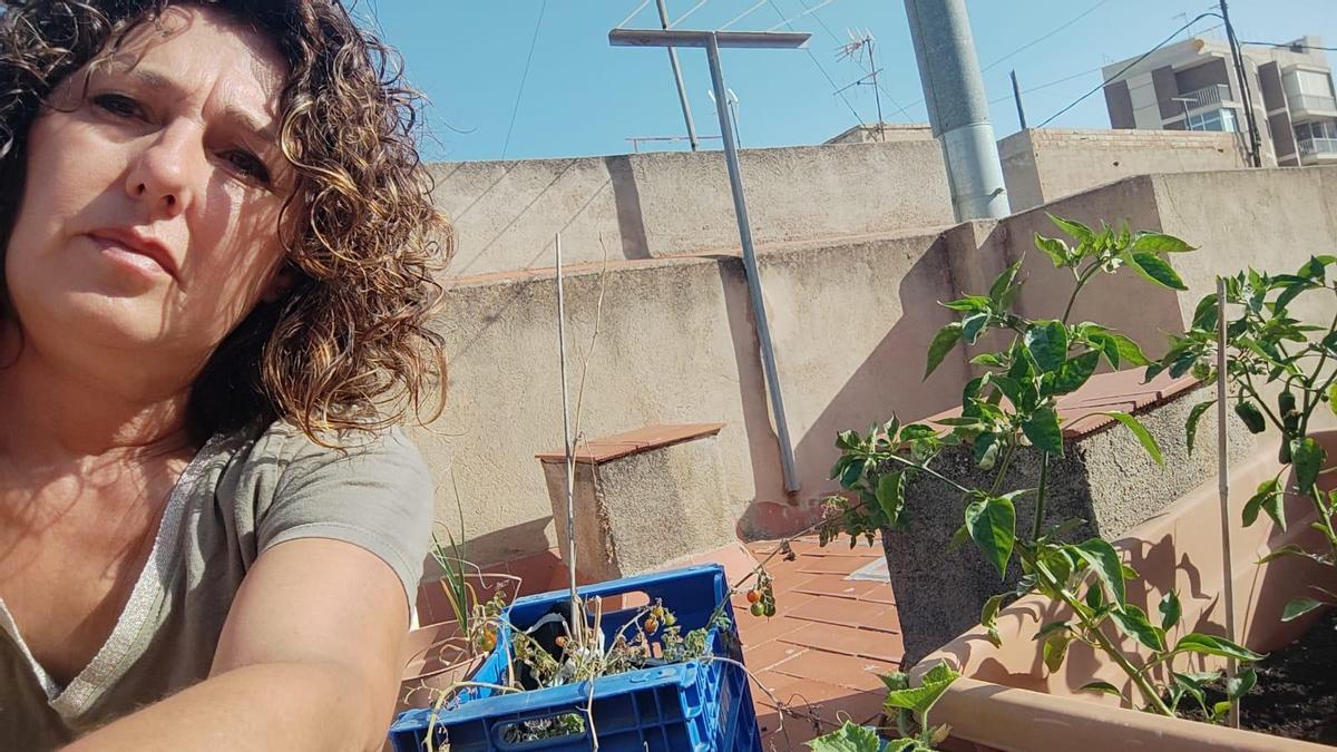 Amparo recolecta en su propia casa tomates cherry de abril a octubre. También cultiva otras hortalizas.