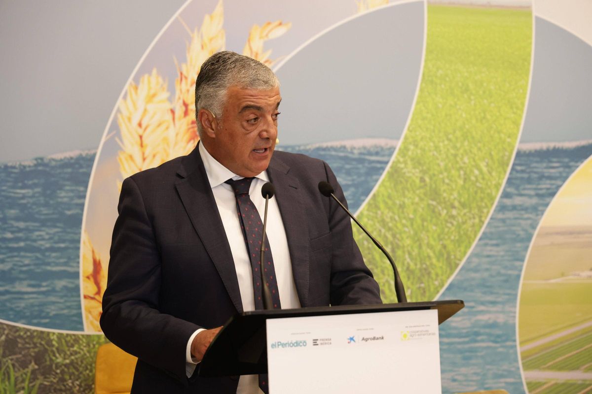 Pedro Martínez, director de AgroBank en la territorial de Castilla-La Mancha y Exttremadura.