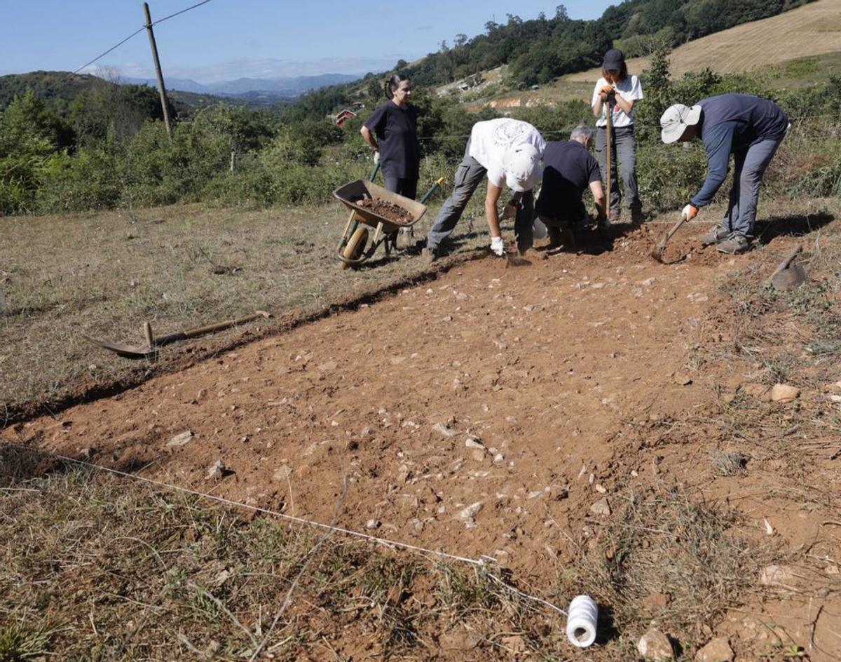 El equipo arqueológico delimita la zona en la que continuará la excavación. | Miki López