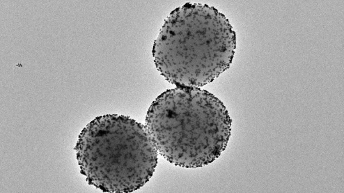 Imagen microscópica de nanorrobots.