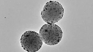 Científicos desarrollan microrrobots que liberan fármacos en el lugar exacto y evitan efectos secundarios