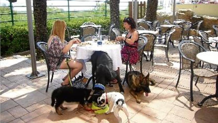 Uns gossos i les seves propietàries dinant junts ahir al restaurant del càmping Castell Mar, ahir.