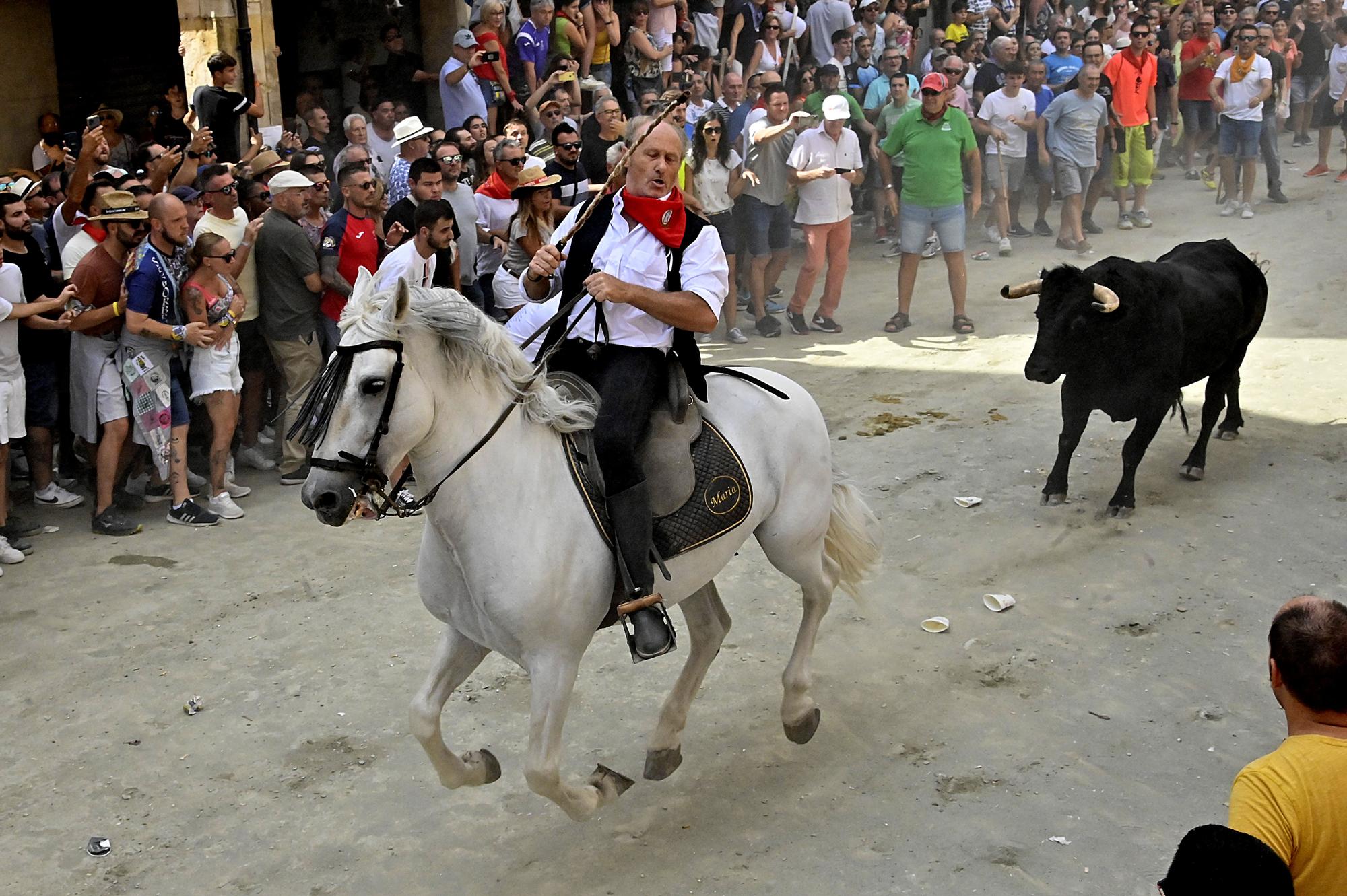 Todas las fotos de la cuarta Entrada de Toros y Caballos de Segorbe