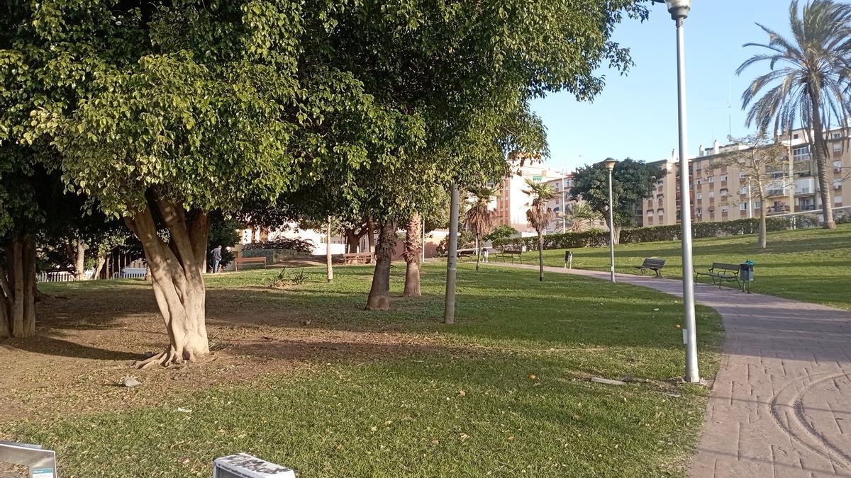 La zona verde junto al Puente de Juan Pablo II, en la calle Agustín Martín Carrión, el mes pasado.