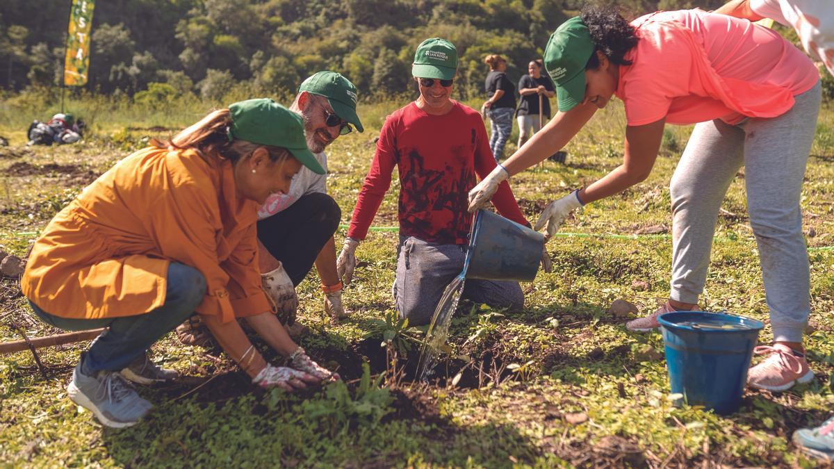 Jornada de reforestación