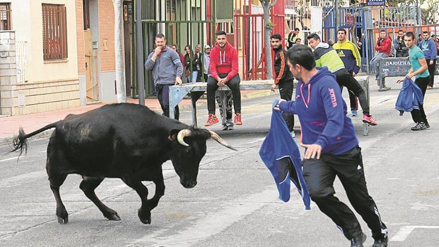 Toros y paellas protagonizan las fiestas de San Pedro de Alcalà