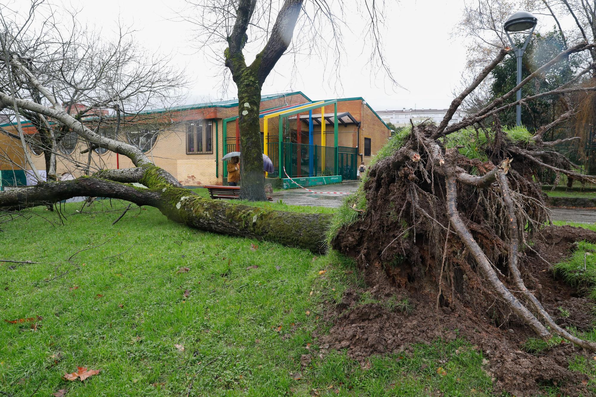 EN IMÁGENES: Así está siendo el temporal del lluvia, viento, oleaje y nieve que azota Asturias