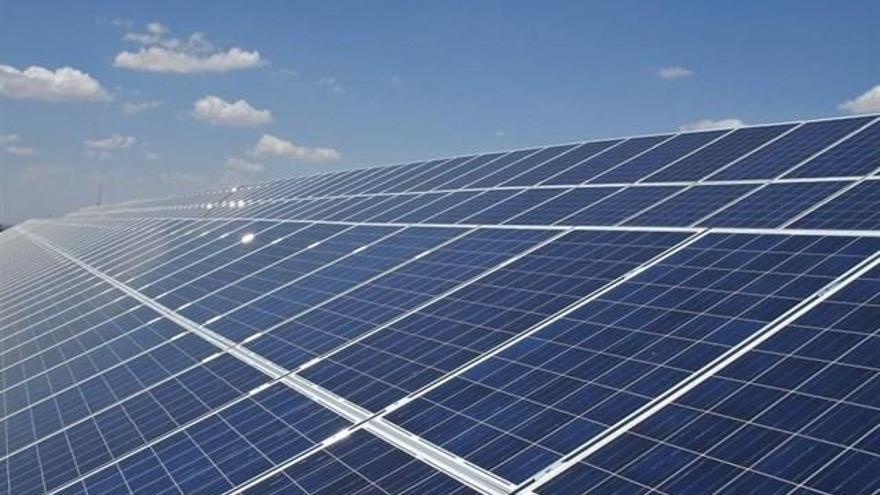 La central solar de Alvarado generará 200 empleos durante su construcción