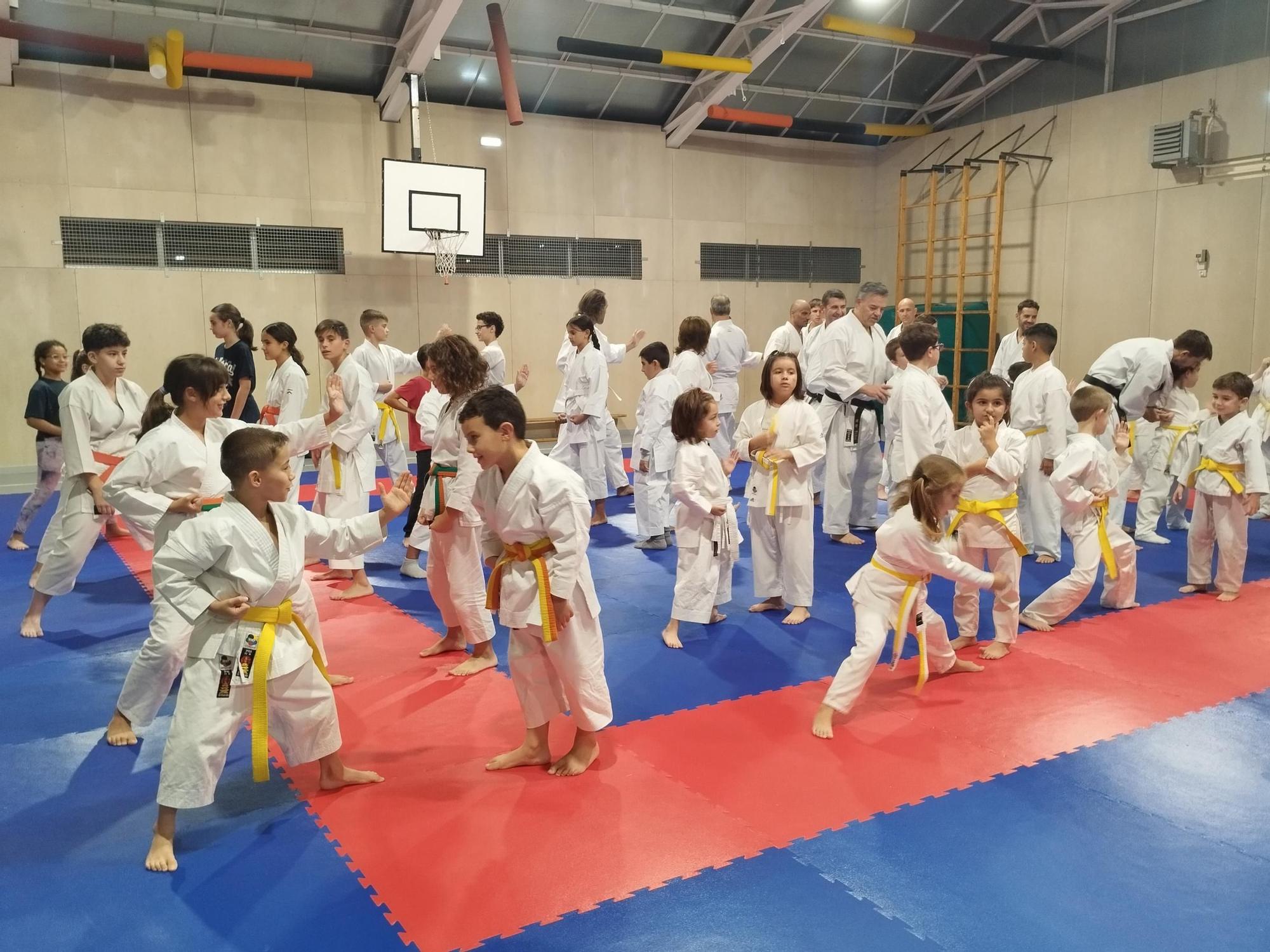 El tai-jitsu, el arte de defensa de los guerreros samurái conquista en Llanera