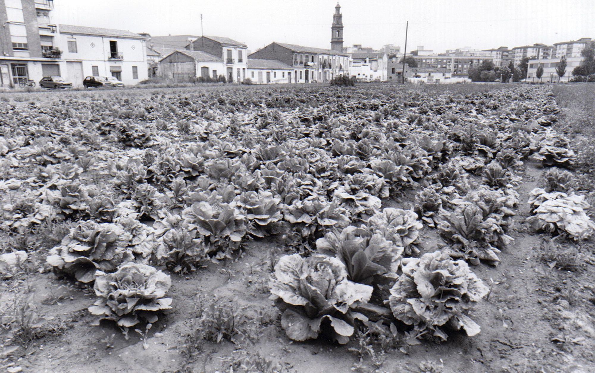 Fotos de la València desaparecida: El Campanar de los 80