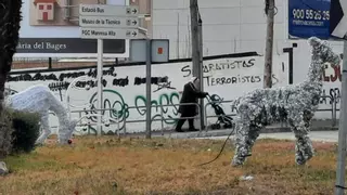 Rens maltractats, cactus gegants i brutícia, imatges del postcap d’any a Manresa