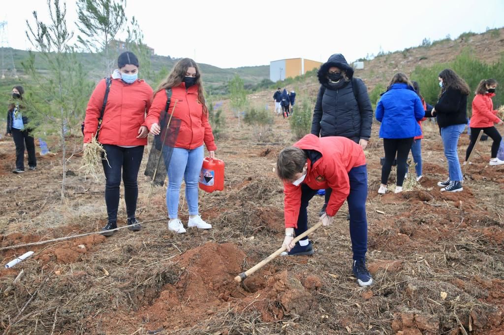 Carmen y la corte se suman a la "plantà verda" de las Fallas