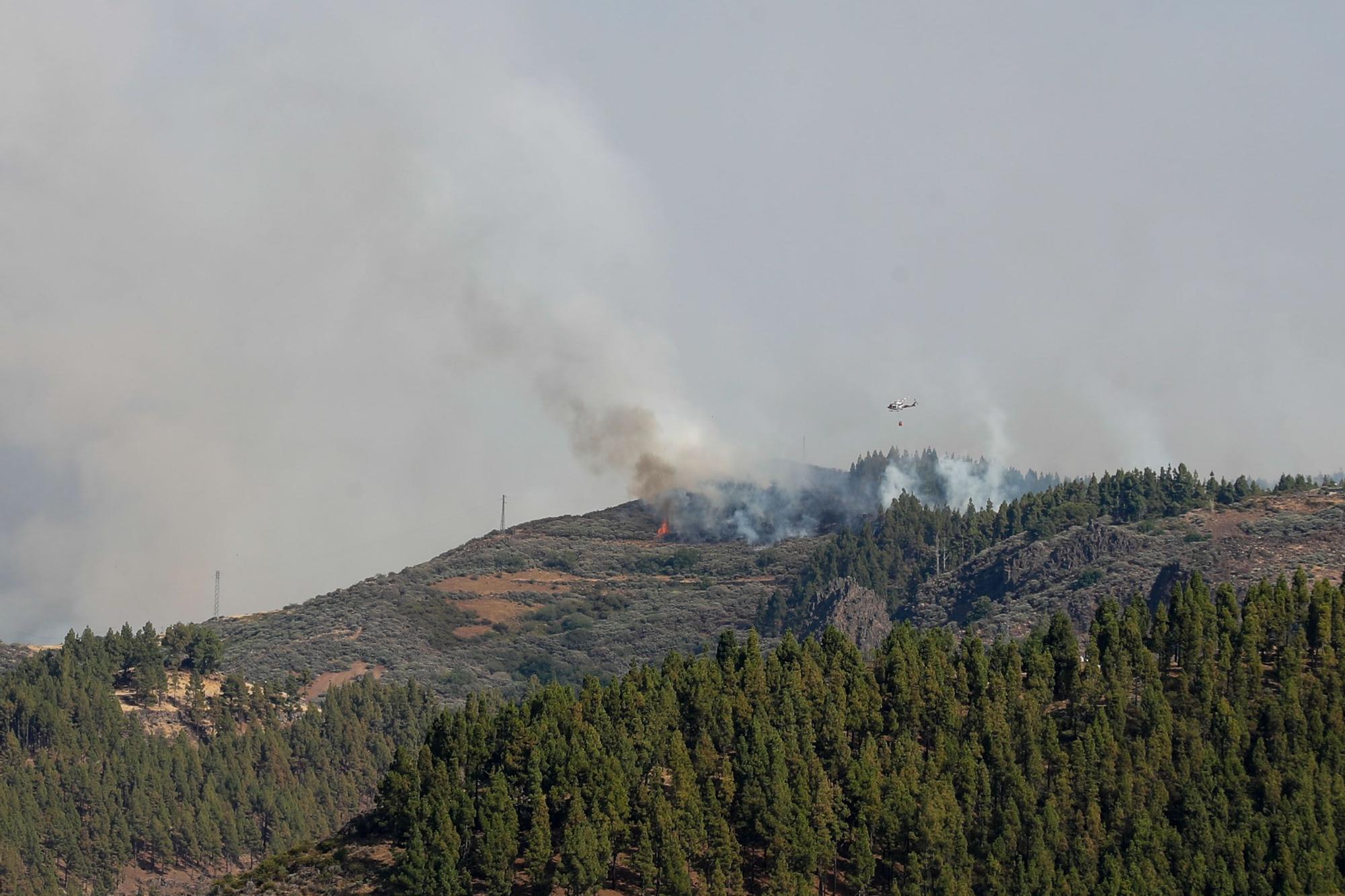 Incendio en la Cumbre de Gran Canaria