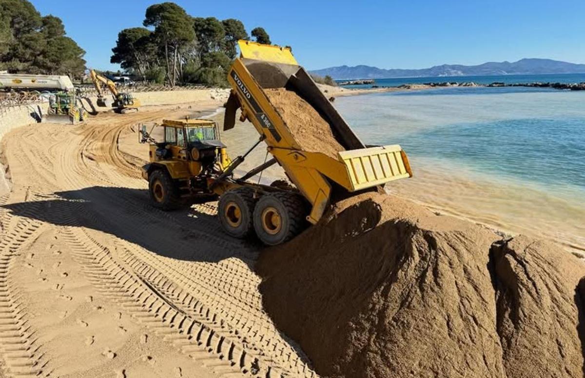 Camions aportant sorra per regenerar la paltja.