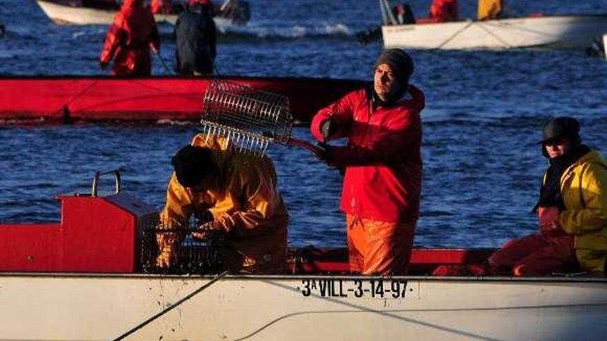 Mariscadores a flote en Os Lombos. // Iñaki Abella