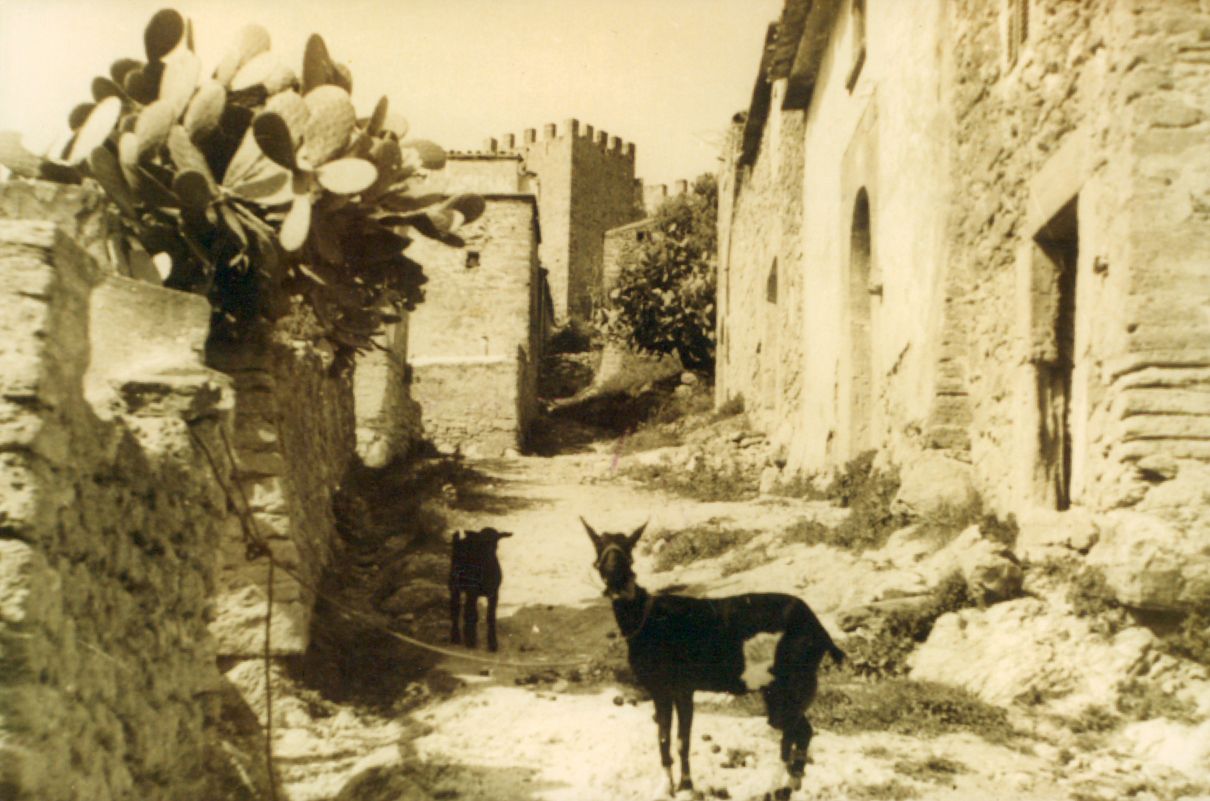 Blick ins Archiv: So sah es früher im Urlaubsort Cala Ratjada auf Mallorca aus