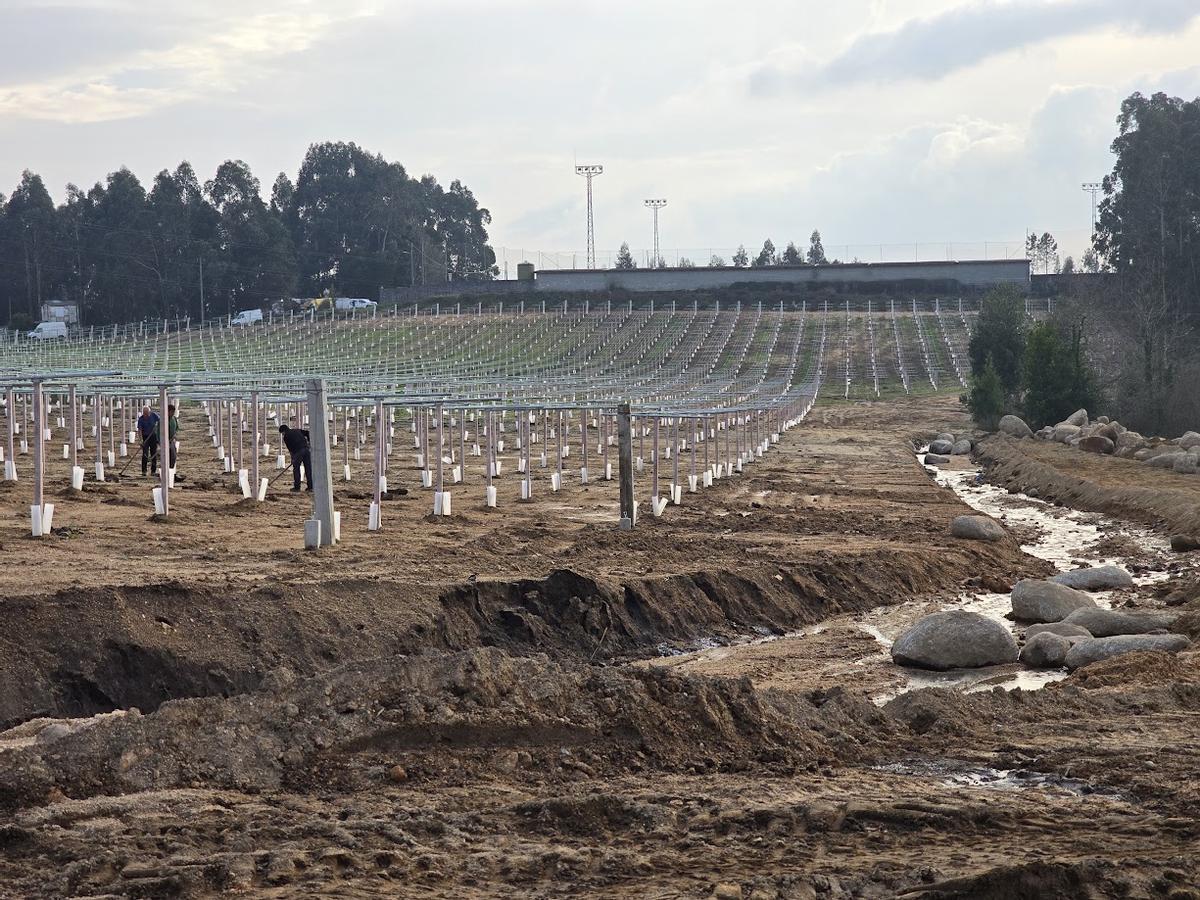 Tres trabajadores en plena plantación al lado del regato.