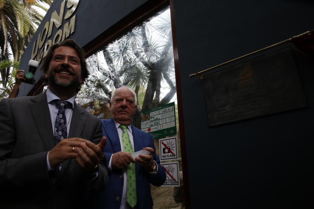 Delia Padrón Inauguración del Lion's Kingdom, la exhibición de los leones africanos, en Loro Parque