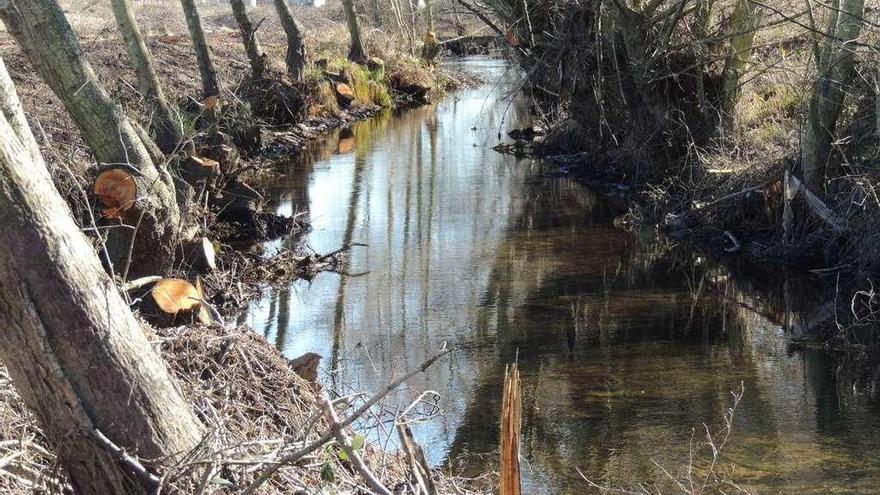 Aspecto que presentan los trabajos de limpieza del caño del molino en Calzada de Tera