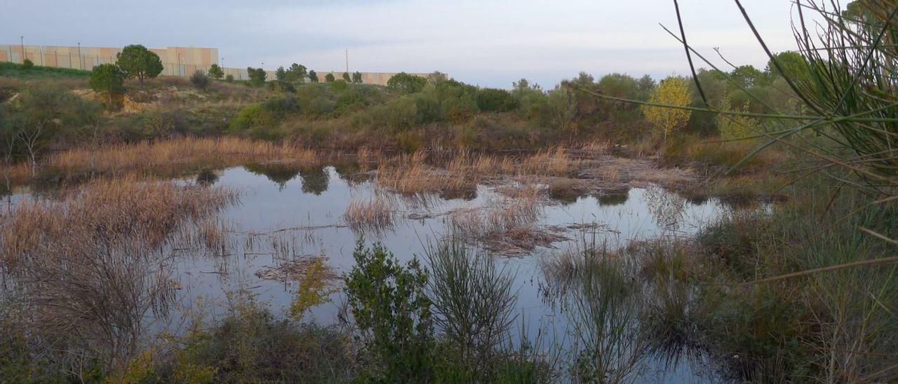 L’espai de les Basses del Terrisser al peu de la presó