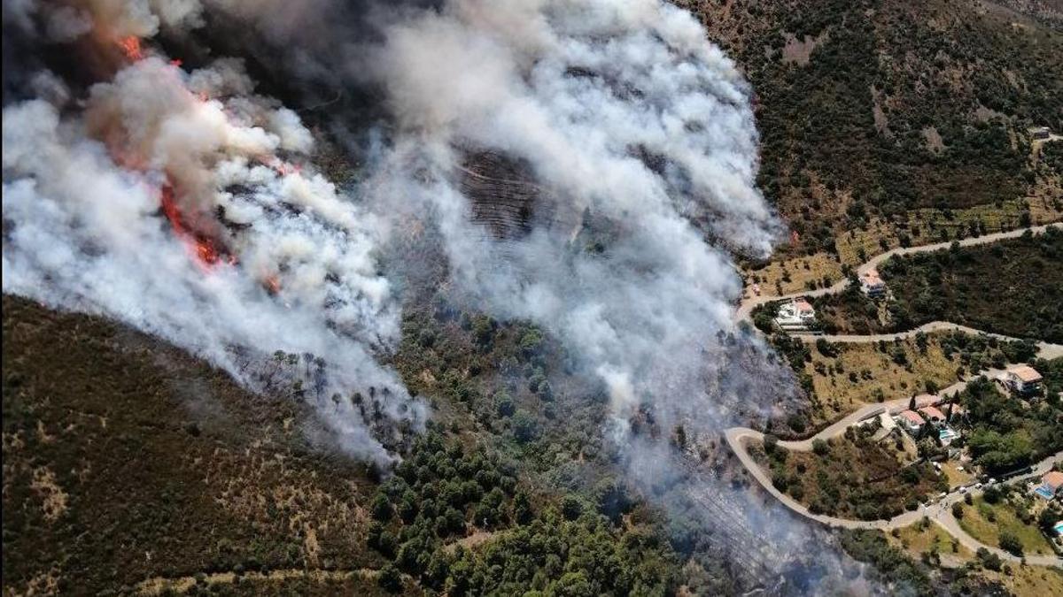 Incendi forestal a Llançà