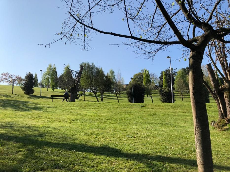 Correr por Gijón 5: Los Pericones