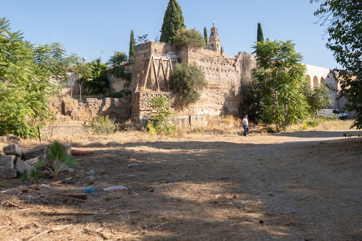 Imagen del muro de la antigua Biblioteca Provincial, donde anidan los cernícalos.