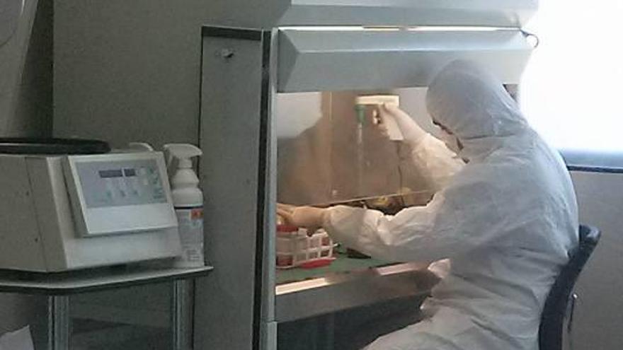 El Hospital Quirónsalud Torrevieja elabora vacunas contra el cáncer