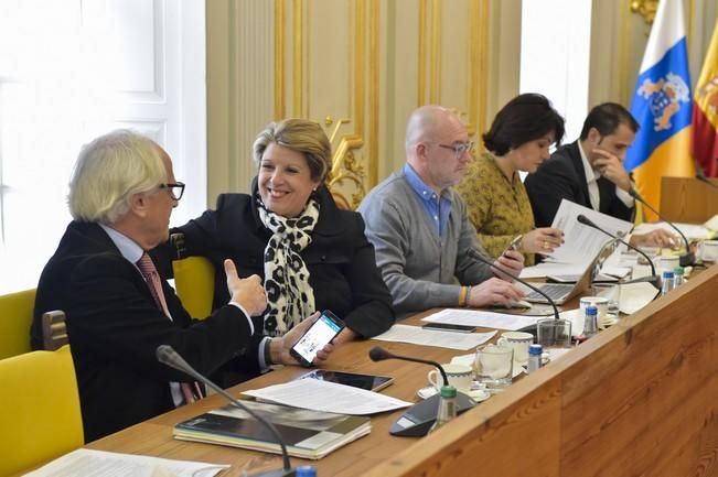 Pleno del Ayuntamiento de Las Palmas de Gran ...