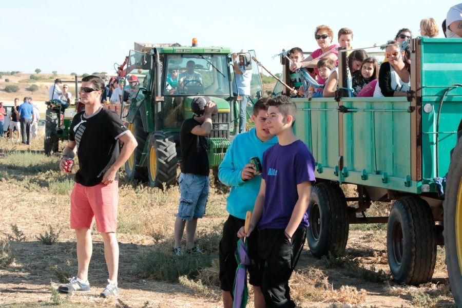 Fiestas en Zamora: Encierro en El Pego