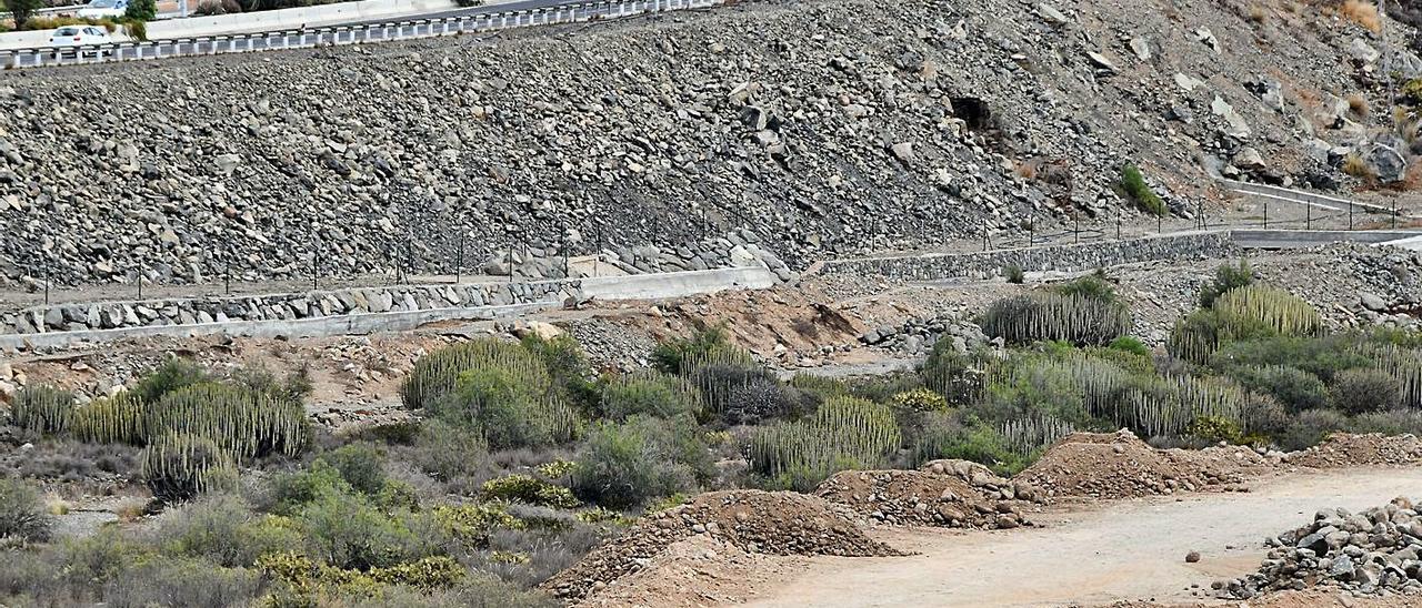 Terrenos destinados en El Veril a la construcción del Siam Park del sur de Gran Canaria. | | YAIZA SOCORRO