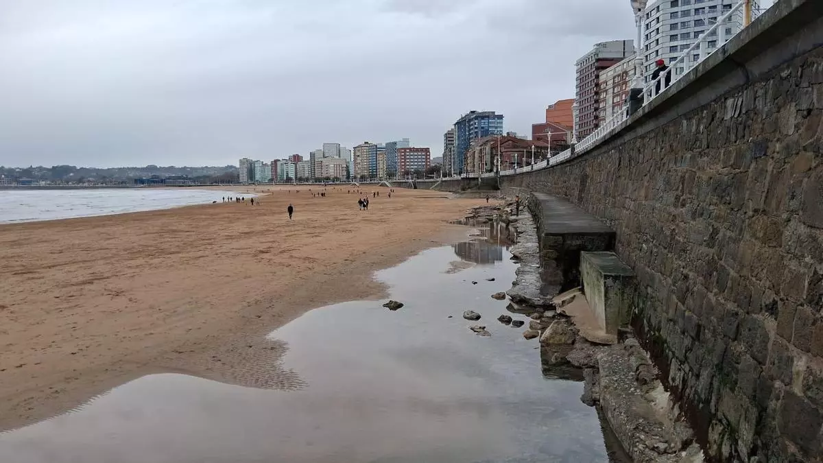 Los llamativos restos en la playa gijonesa de San Lorenzo que ha dejado a la vista la borrasca "Francis"