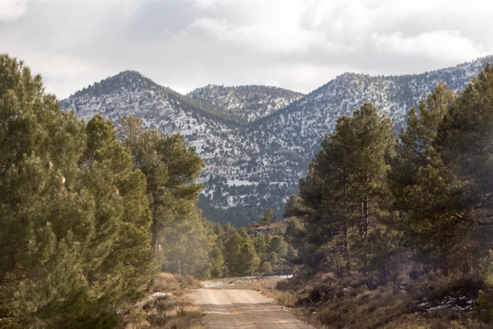 Más nieve en el Noroeste