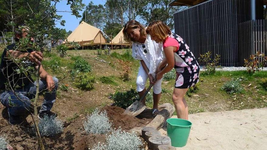 La conselleira de Medio Ambiente, Beatriz Mato (a la izquierda), planta un árbol en Ons durante el acto de inauguración del camping en la isla. // Gonzalo Núñez