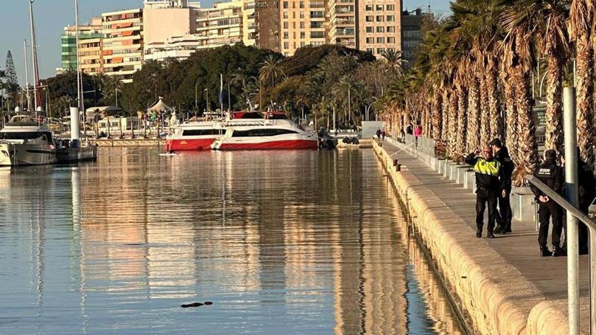 El cuerpo flotando en el agua