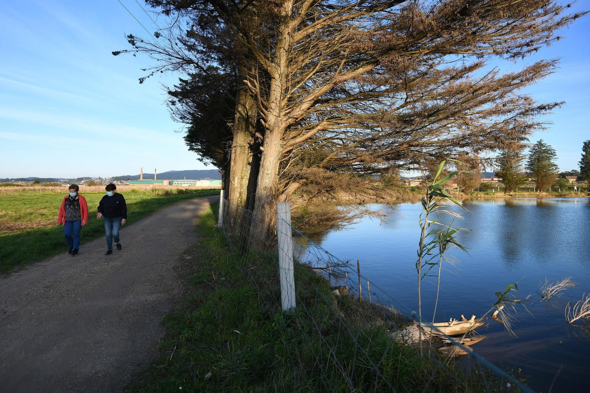 La ensenada de Arnosa, una joya histórica y ambiental