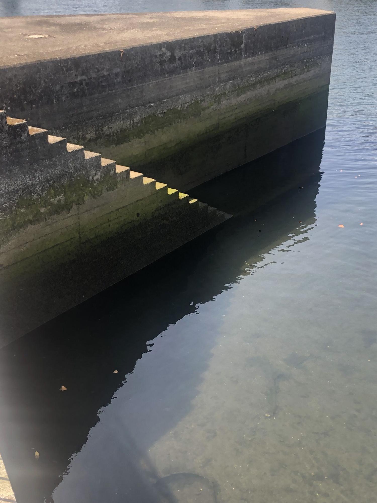 El río se entrega al mar también en Pontevedra