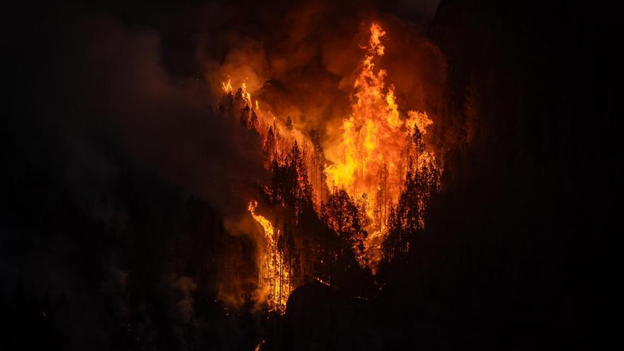 Así ha quedado Las Lagunetas tras el paso del fuego