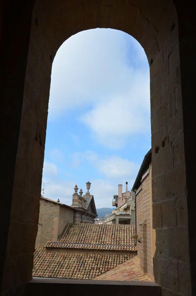Visita a la teulada de la Catedral de Solsona