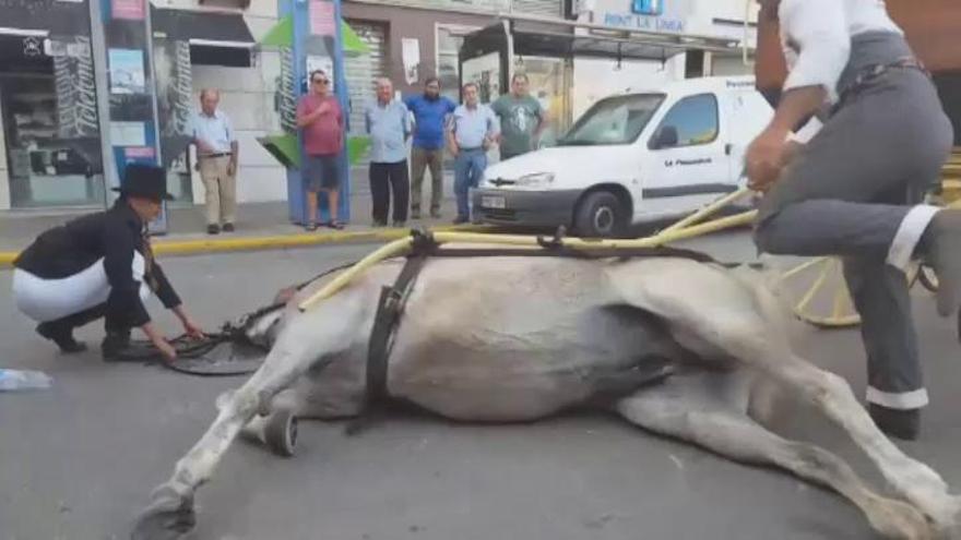 Las altas temperaturas afectan a los animales