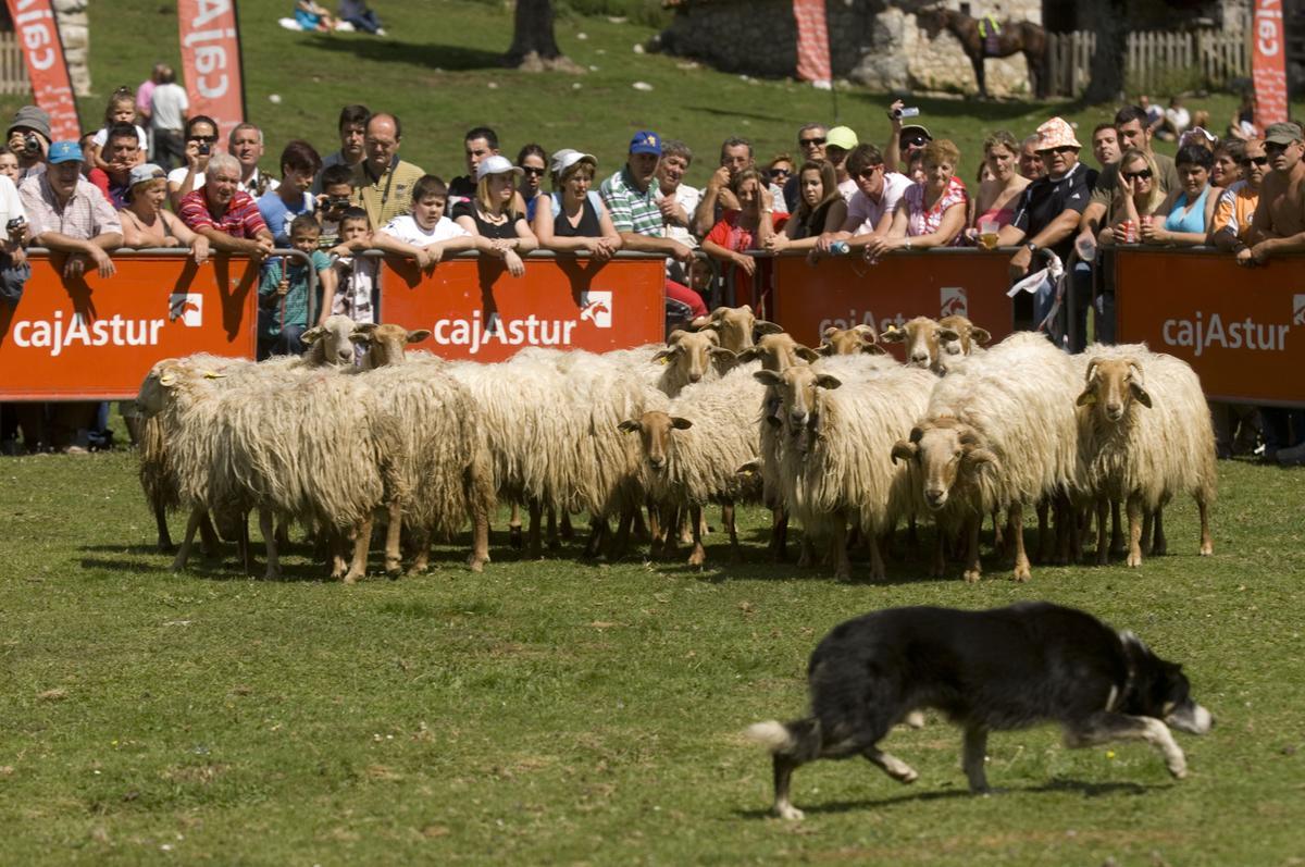 Fiesta del Pastor en una imagen de archivo