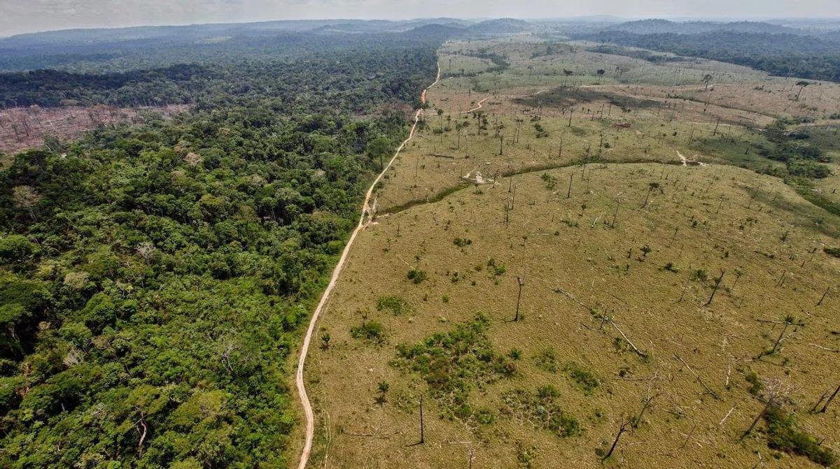 Deforestación en el Amazonas