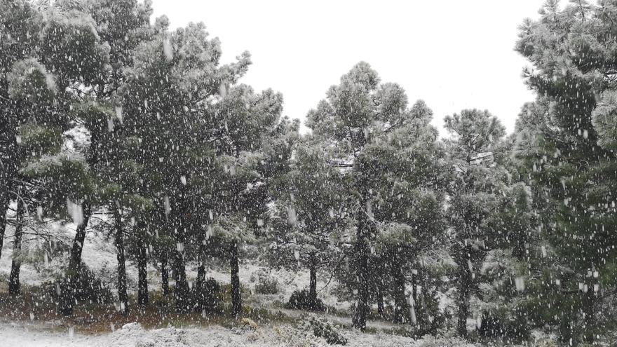 El temporal y la bajada de las temperaturas vuelve a dejar nieve en la Serrella