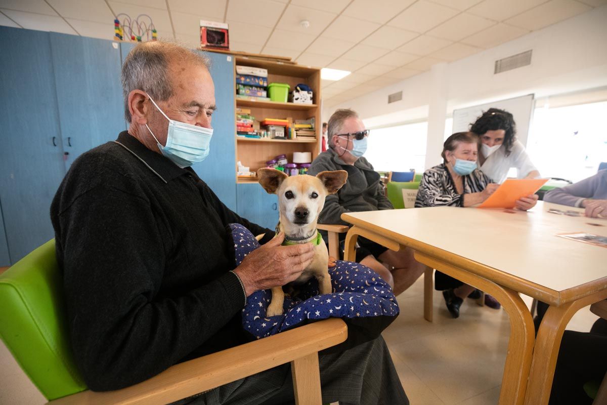 Uc, un terapeuta de cuatro patas en Ibiza