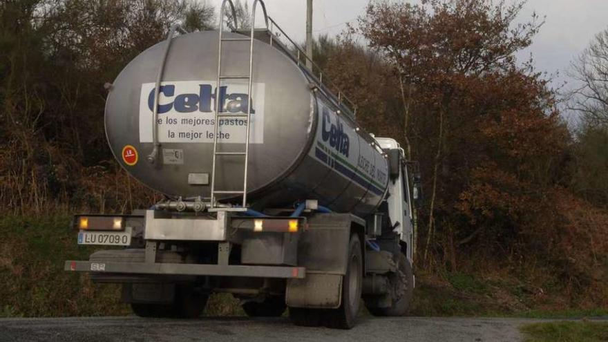 Un camión cisterna de recogida de leche para la empresa Leche Celta.