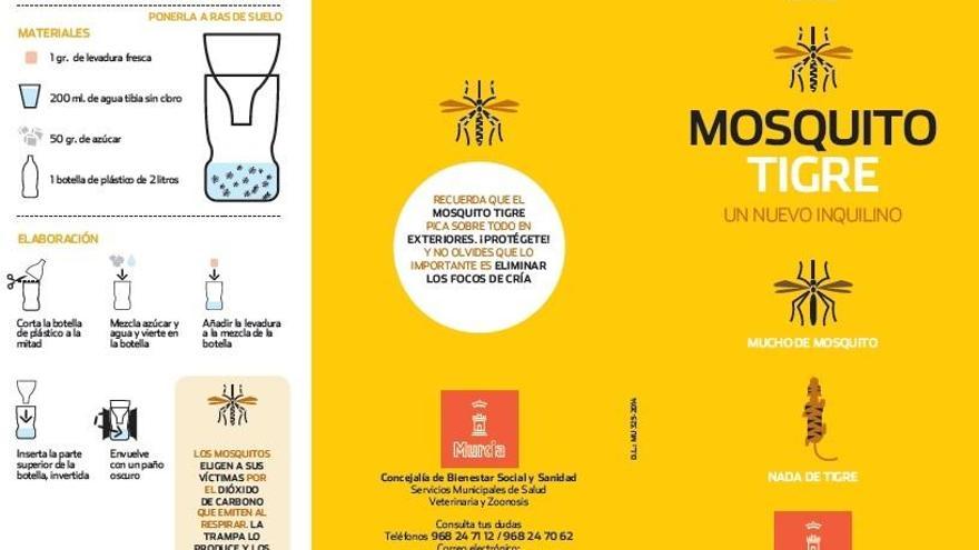 El Ayuntamiento intensifica la campaña contra el mosquito tigre