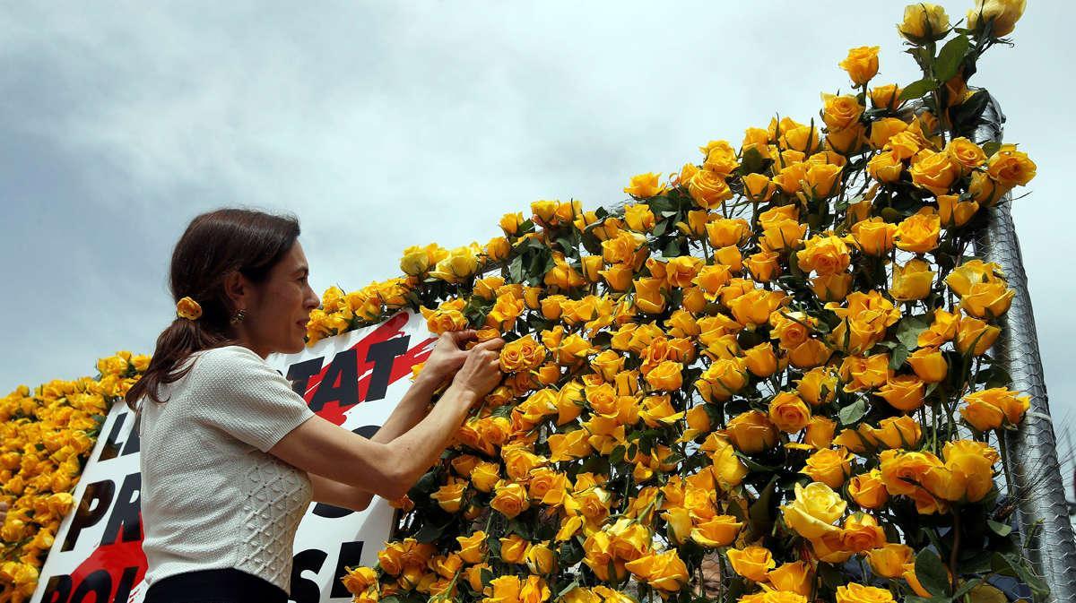 Un Sant Jordi de rosas amarillas para reivindicar la libertad de los políticos presos.