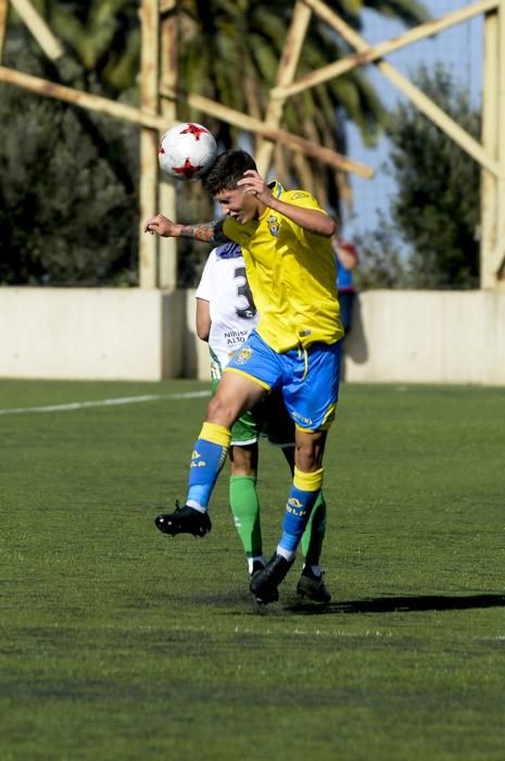 TERCERA DIVISION SANTA BRIGIDA-LAS PALMAS C