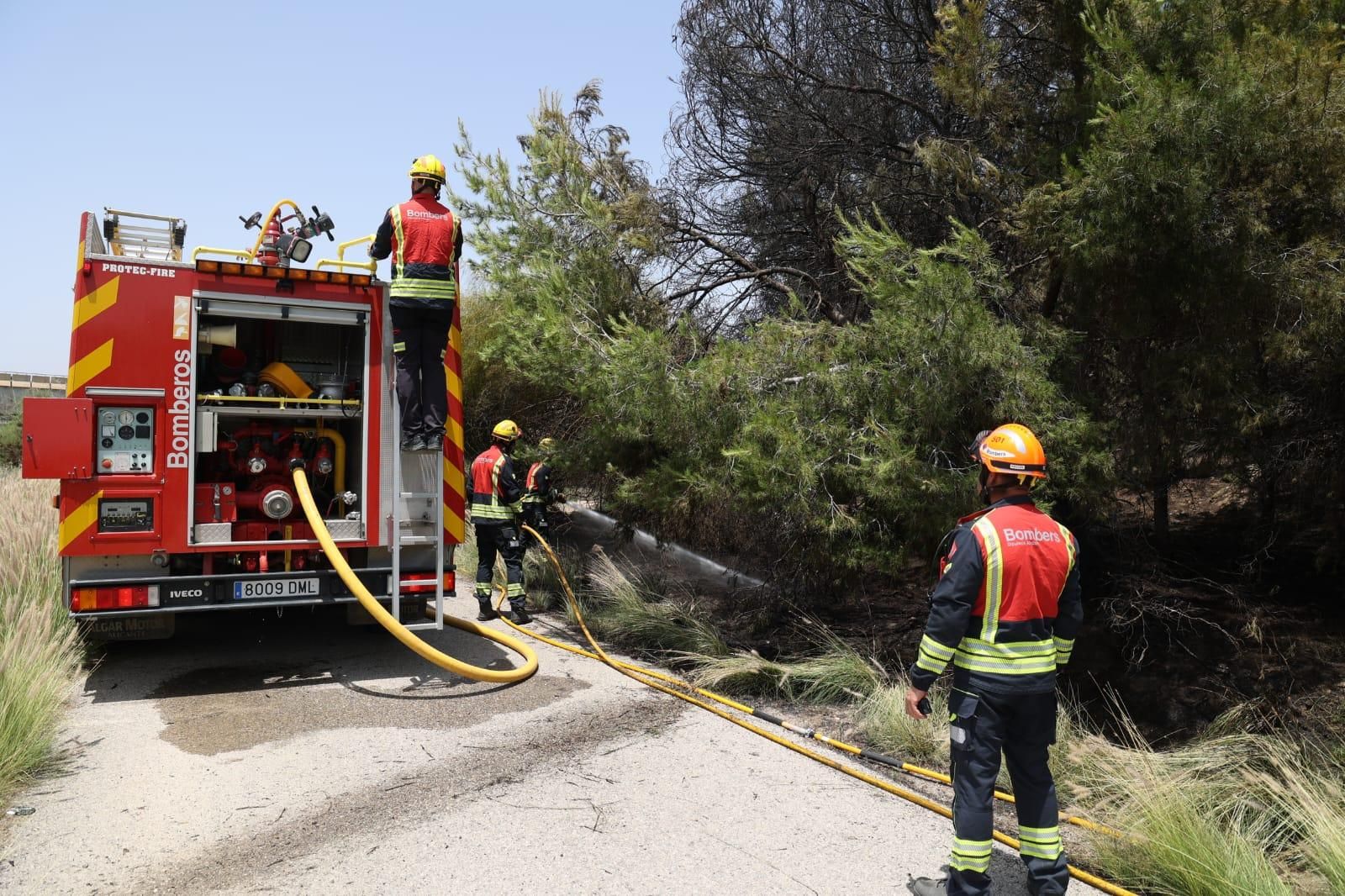 Los bomberos sofocan un fuego junto a la salida del túnel de la autovía